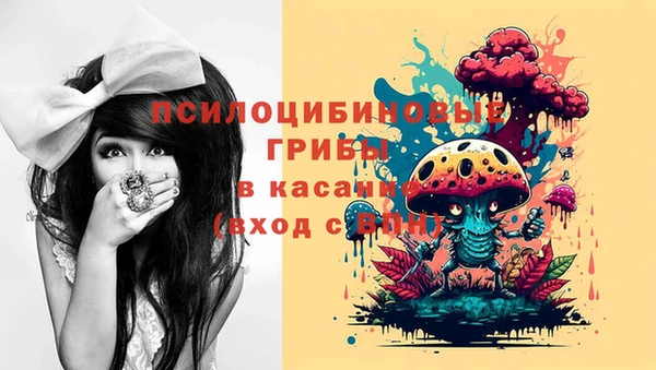 винт Армянск