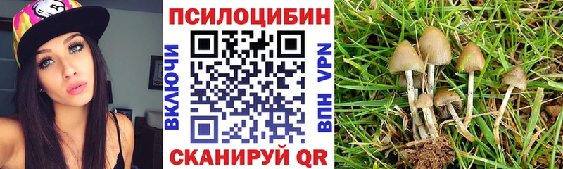 ссылка на мегу сайт  Камышин  Галлюциногенные грибы GOLDEN TEACHER 
