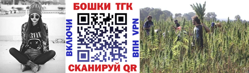 Каннабис индика Камышин